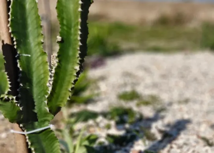 Helia בית נופש